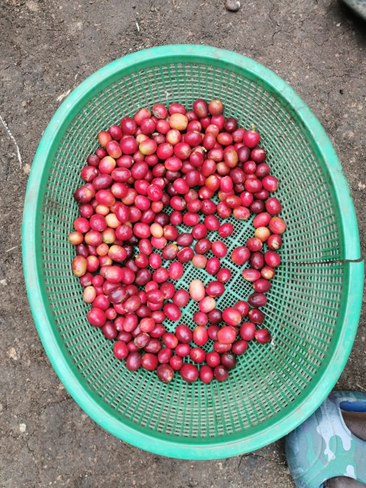 Uganda Kyabwire