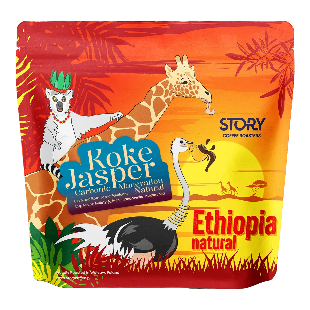 Ethiopia Koke Primrose