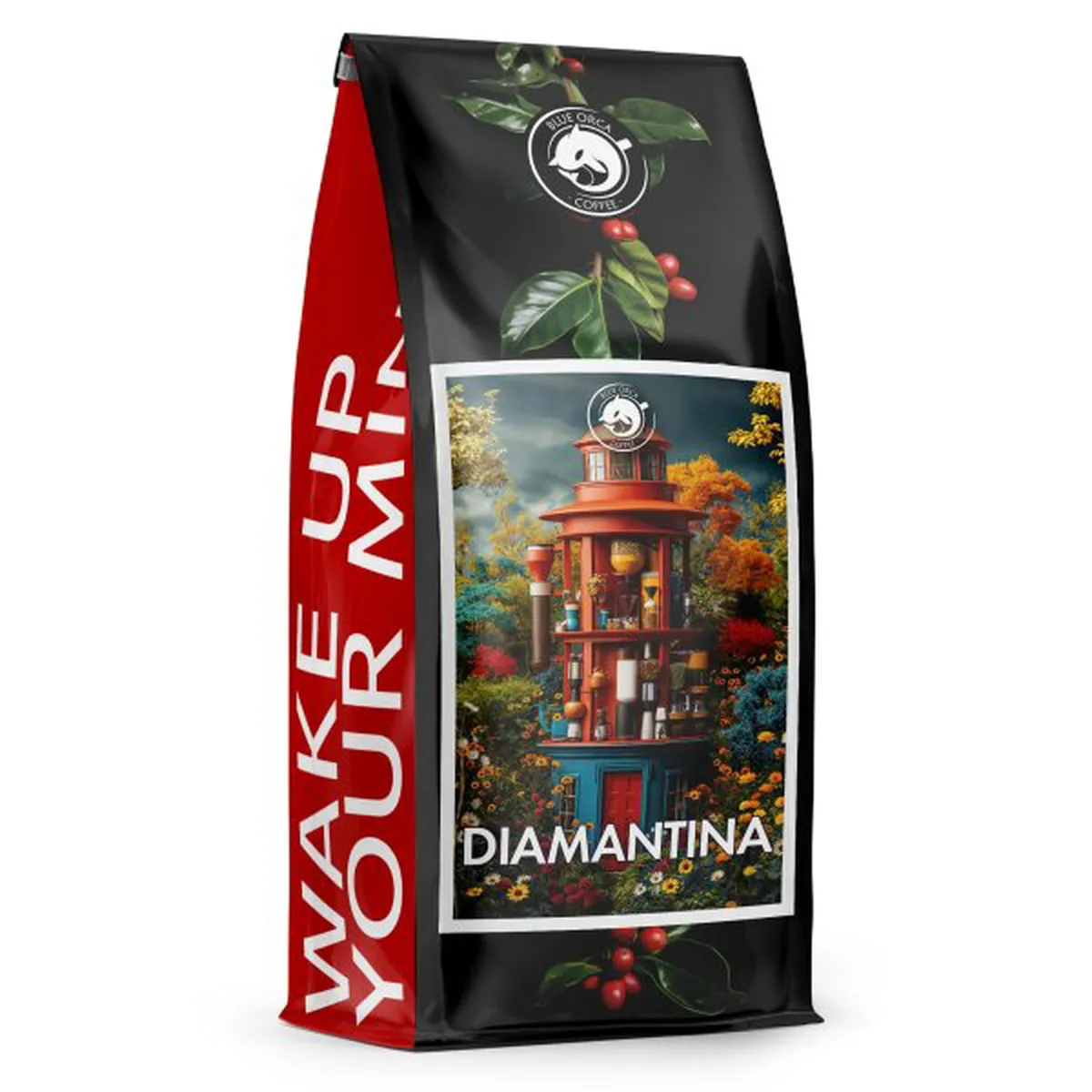 Diamantina Brazil