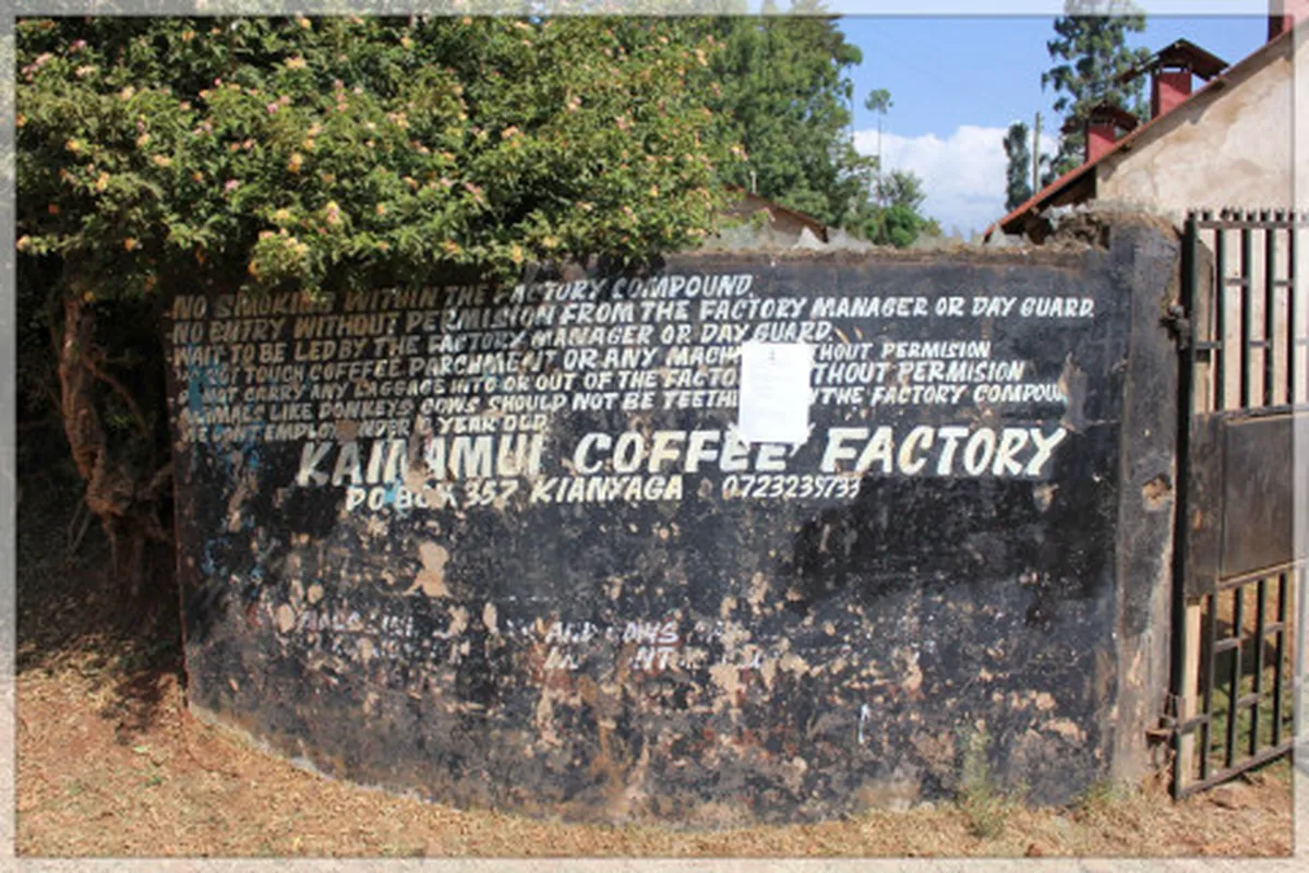 Kenia Kirinyaga Kainamui AB
