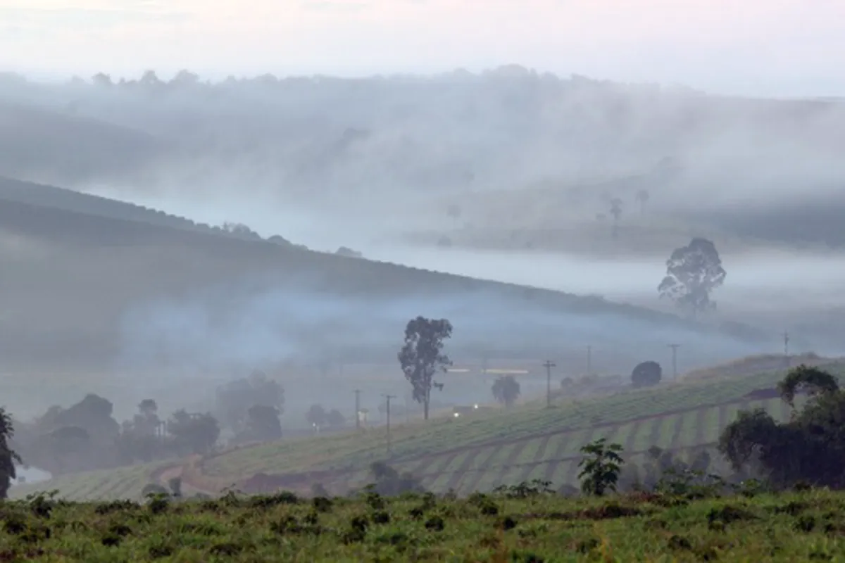 Brazylia Fazenda da Lagoa Espresso