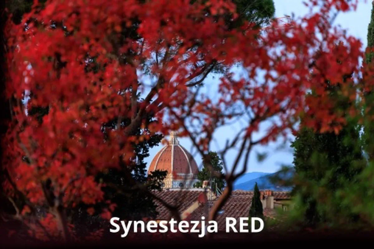 Synestezja RED Classic Volcanic