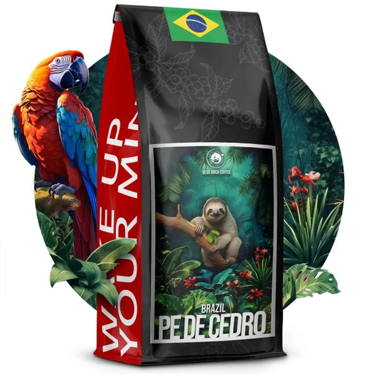 Brazylia Pe de cedro