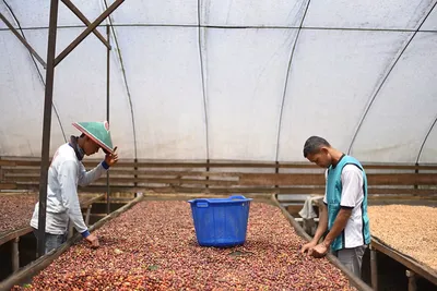 Sumatra Rukun Saudara