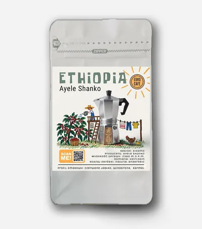 Ethiopia Ayele Shanko natural anaerobic
