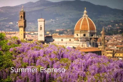 Synestezja Summer Espresso