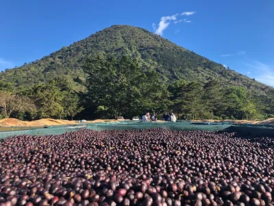 Salwador Los Angeles