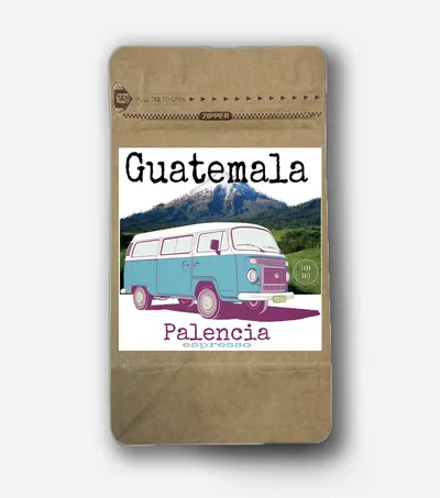 Guatemala Palencia Impact