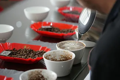 Etiopia Guji Denbi Uddo Natural Omniroast