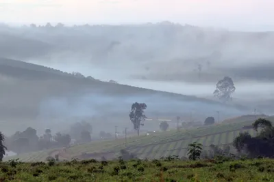 Brazylia Fazenda da Lagoa Espresso