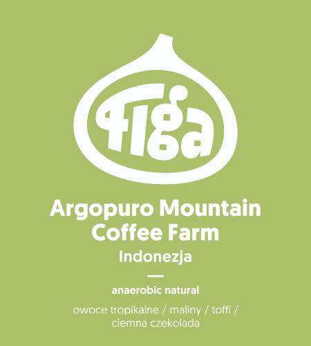 Indonezja Jawa Argopuro Mountain Coffee Farm anaerobic natural - metody alternatywne