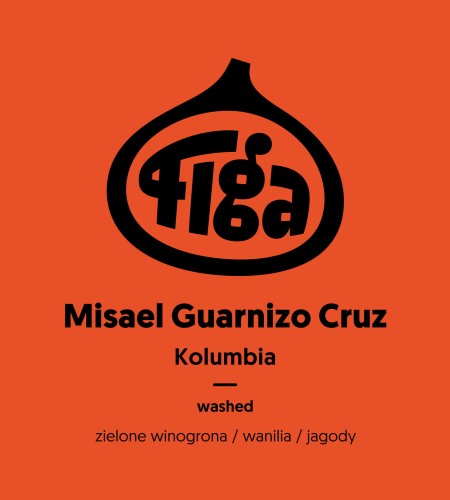 Kolumbia Misael Guarnizo Cruz washed - metody alternatywne