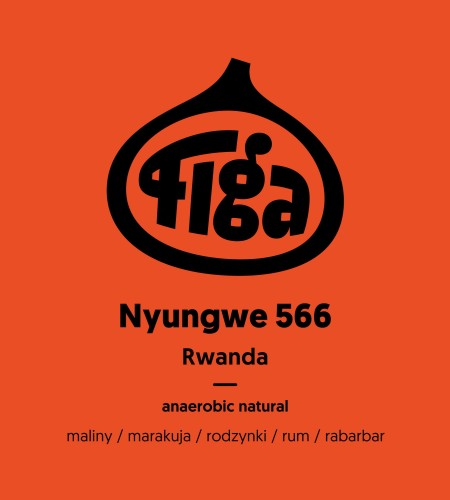 Rwanda Nyungwe 566 anaerobic natural