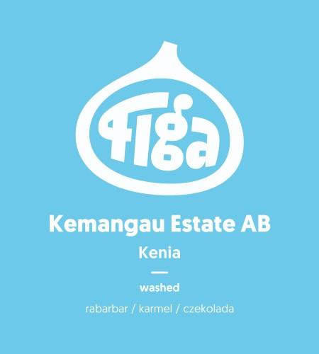 Kenia Kemangau Estate Ab Washed - Metody Alternatywne - 250 G / 1000 G