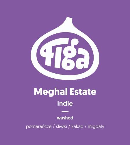 Indie Meghal Estate Washed - Metody Alternatywne - 250 G / 1000 G