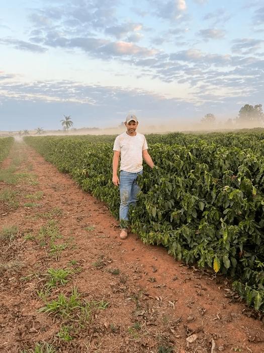 Brazylia Fazenda Baioka