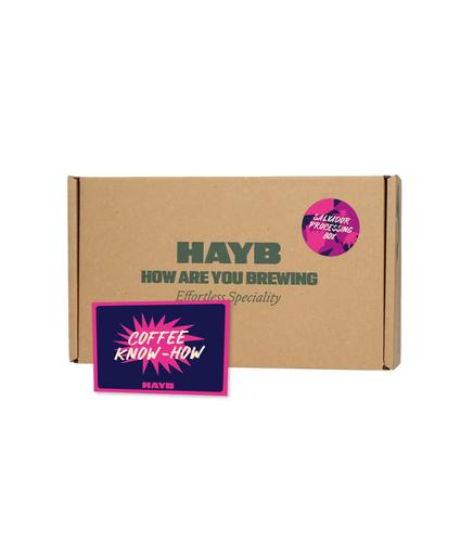 El Salvador Processing Box