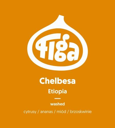 Etiopia Chelbesa Washed - Metody Alternatywne - 250 G / 1000 G