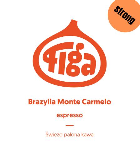 Brazylia Monte Carmelo STRONG