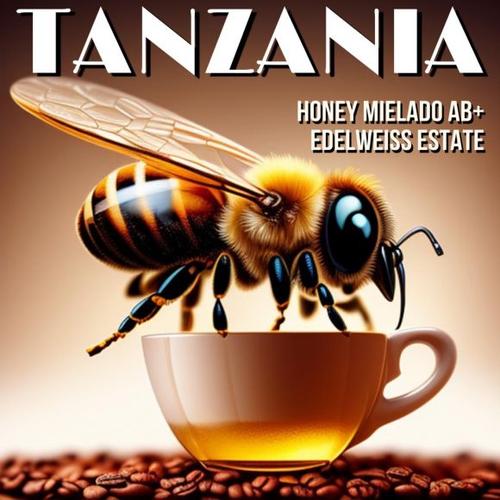 Tanzania honey melaso AB+ Edelweiss Estate