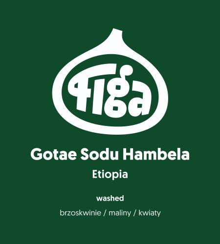 Etiopia Gotae Sodu Hambela washed - metody alternatywne - 250 g