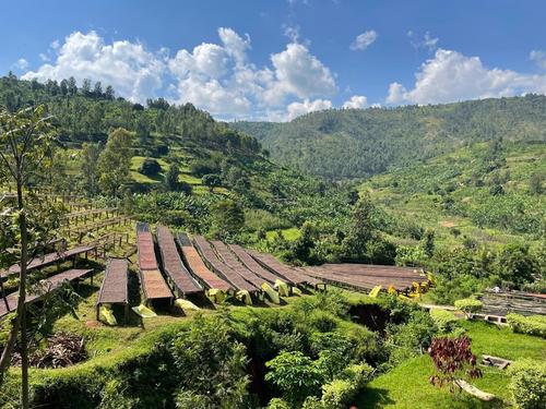 Rwanda Bumbogo
