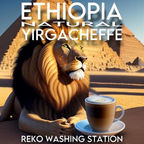 Ethiopia Reko Onacho natural