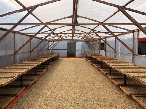 Sumatra Putra Gayo