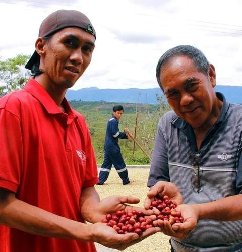 Sumatra Takengon