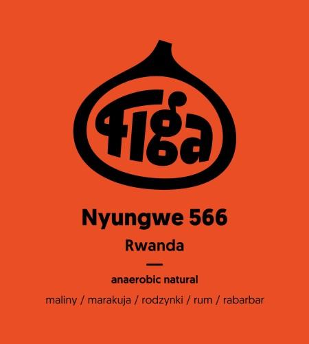 Rwanda Nyungwe 566 anaerobic natural