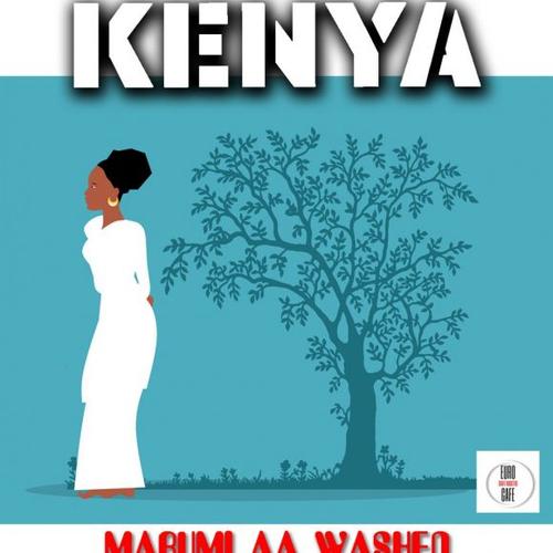 Kenya Marumi AA washed