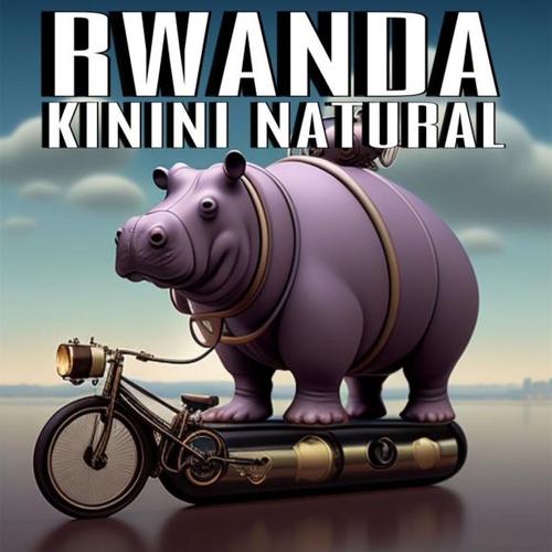 Rwanda Kinini washing station - natural